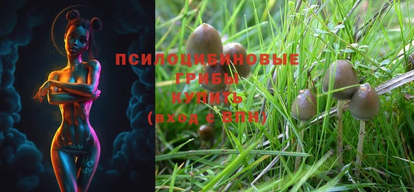 герыч Верея