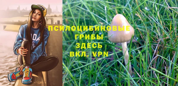 MDMA Богданович
