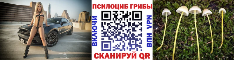 Псилоцибиновые грибы MAGIC MUSHROOMS  Камешково 